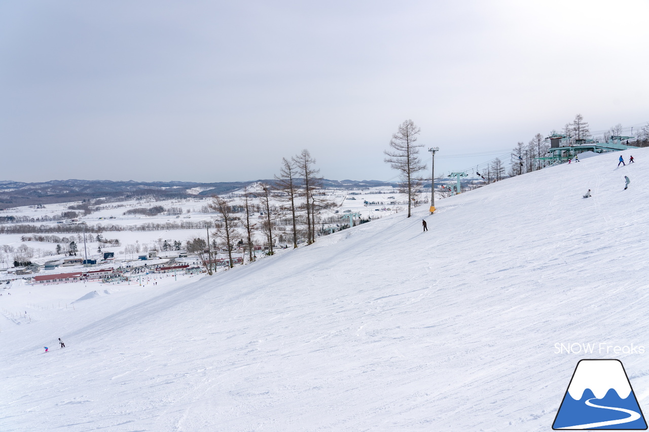 岩見沢 萩の山市民スキー場｜3連休最終日は穏やかなスキー日和。のんびりとローカルゲレンデで過ごす休日はいかがでしょう？